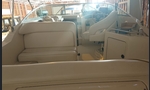Sea Ray 240 Sundancer-kuva-5
